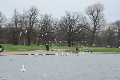 DSC_6201 (Large).JPG